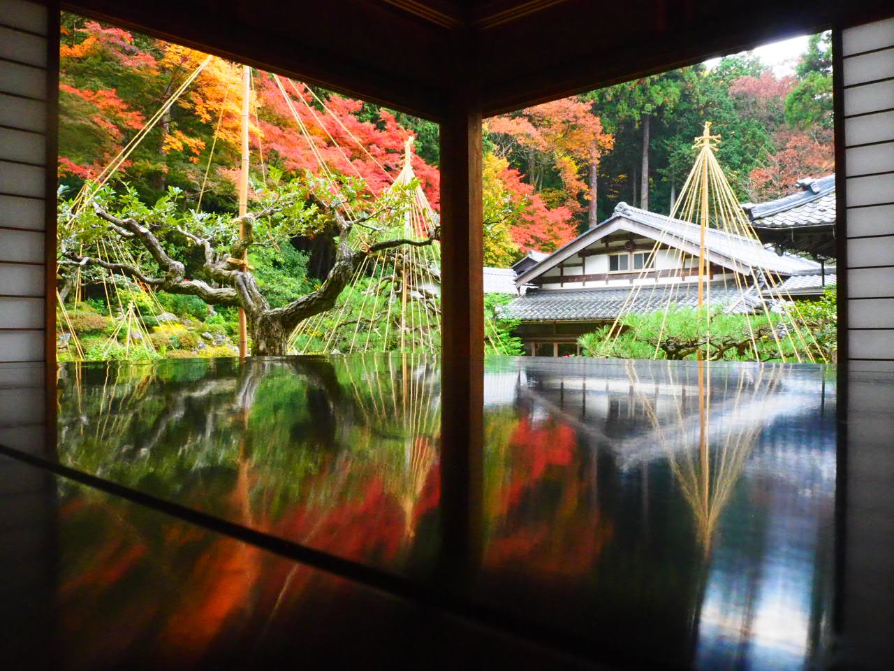喫茶去から眺める庭園