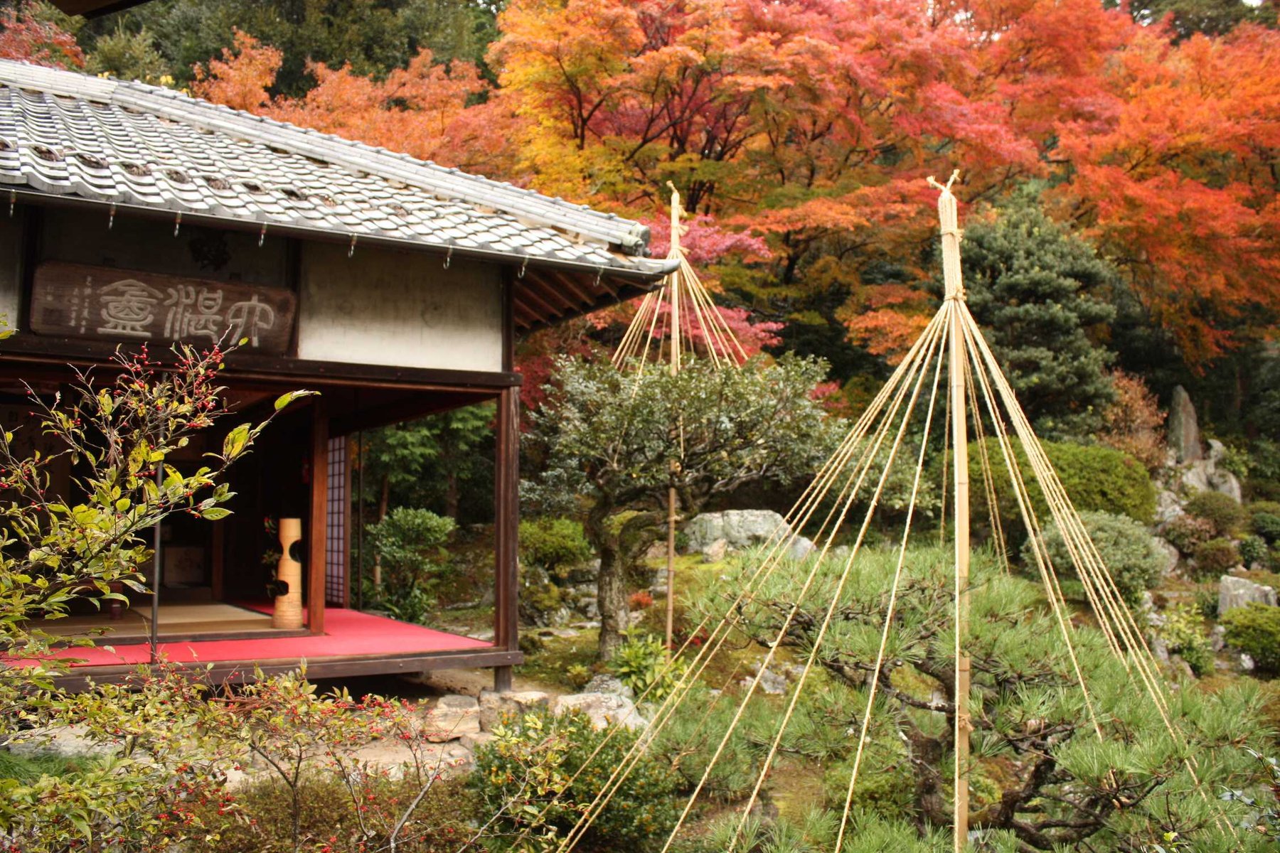 紅葉に彩られた青岸寺の枯山水庭園