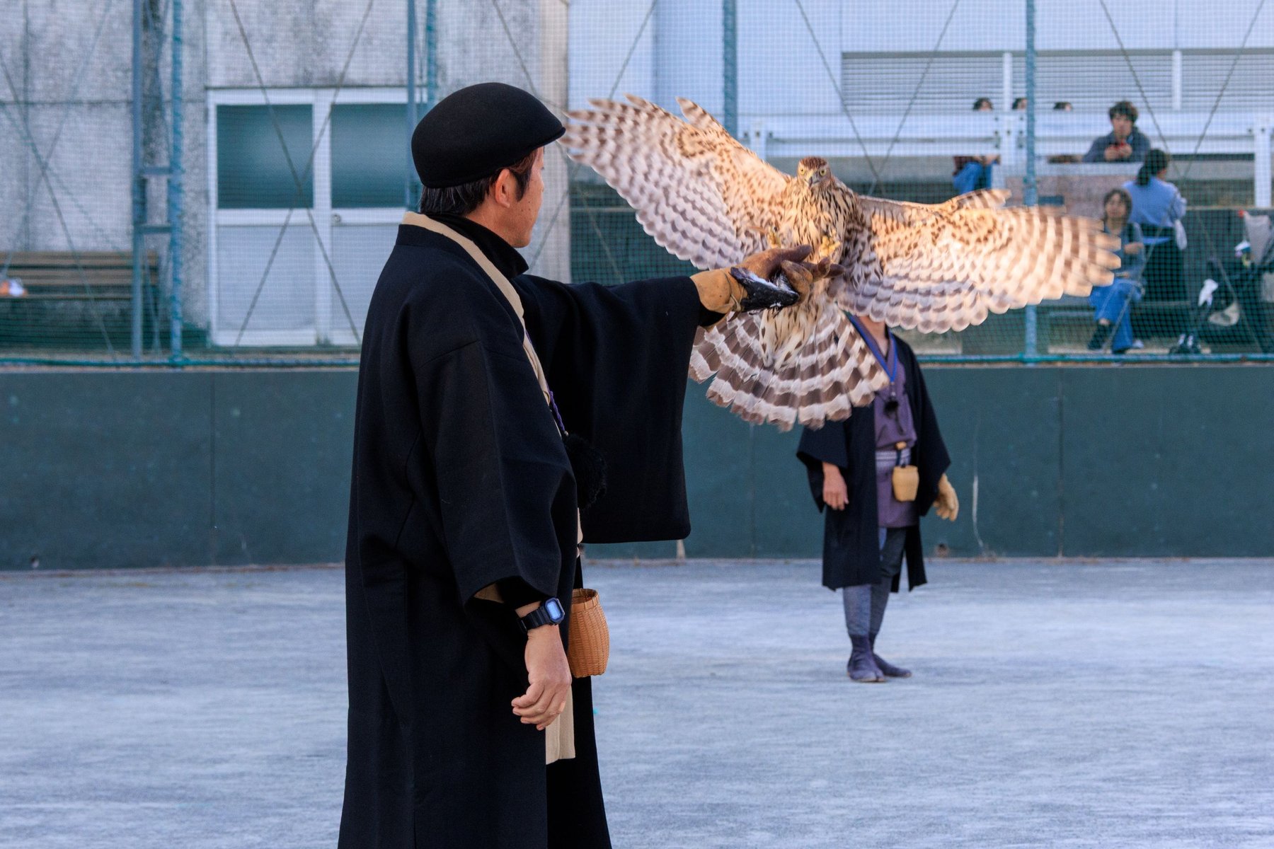 鷹狩りの実演